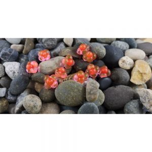 Cleardrift Embryo Egg Clusters