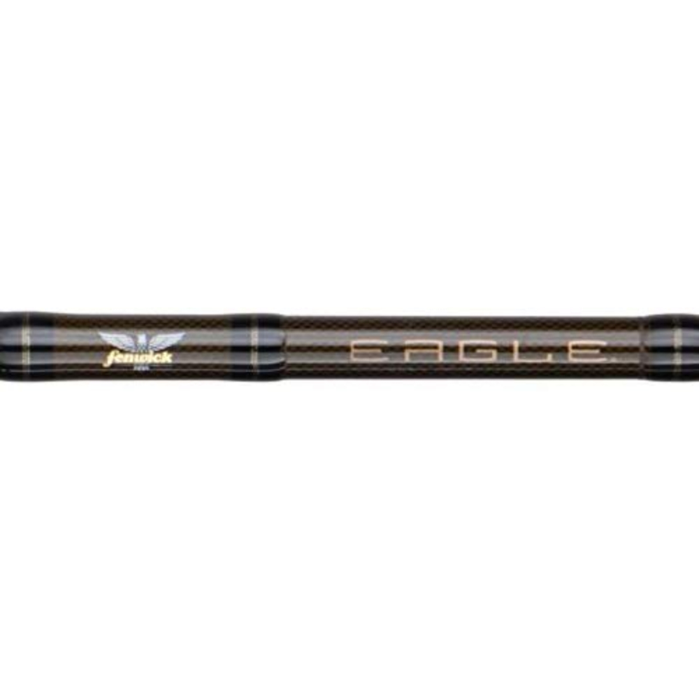 Fenwick Eagle 9'6" Spinning Rod