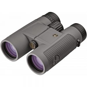 Leupold BX1 McKenzie 10x42mm Binoculars