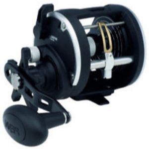 Penn Rival #20 Star Drag Reel w/Levelwind