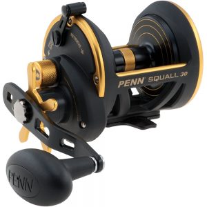 Penn Squall #30 Star Drag Reel w/Levelwind