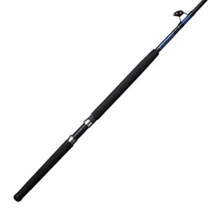 Shakespeare Tidewater 6'6" Halibut Rod