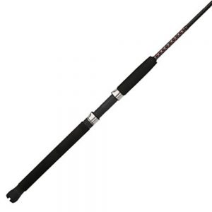 Shakespeare Ugly Stik Big Water 6'6" Halibut Rod