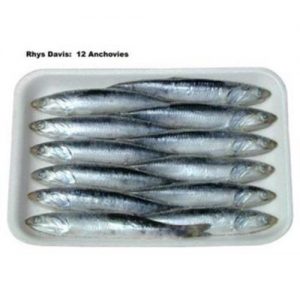 Anchovies 5 1/2"-6"