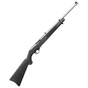 Ruger 10/22 22 L/R Stainless Rimfire Rifle