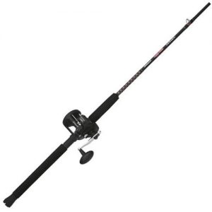 Ugly Stik Big Water Squall 30 Jigging Rod/Reel Combo